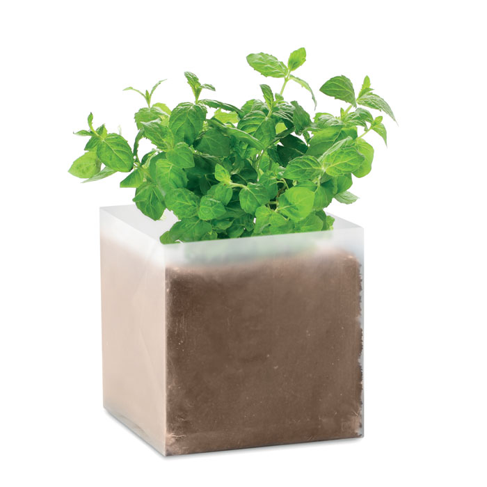 Compost met mintzaden - Ravels