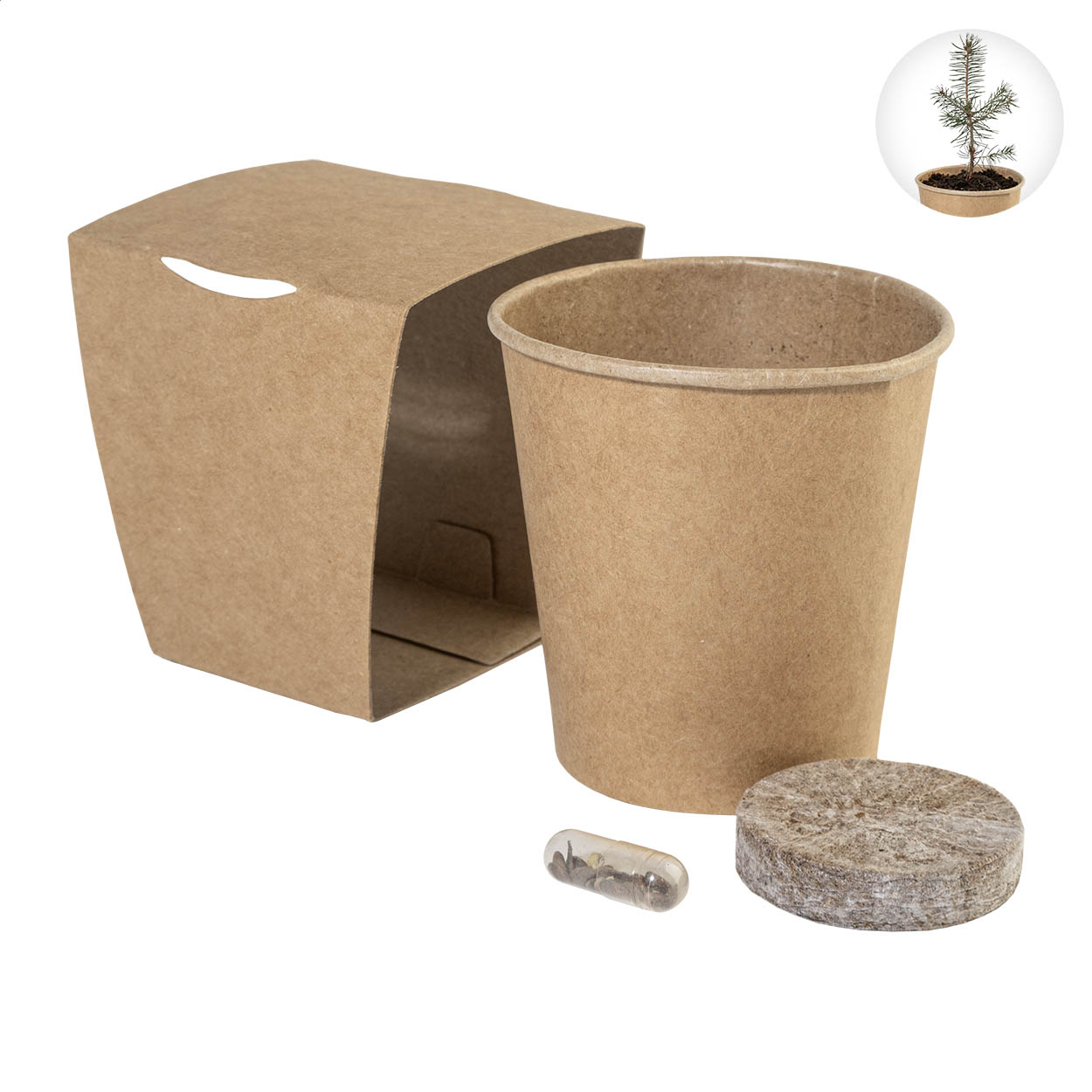MerryGrow kweekset voor kerstboom in kraftpapieren hoes met uw logo bedrukken met logo