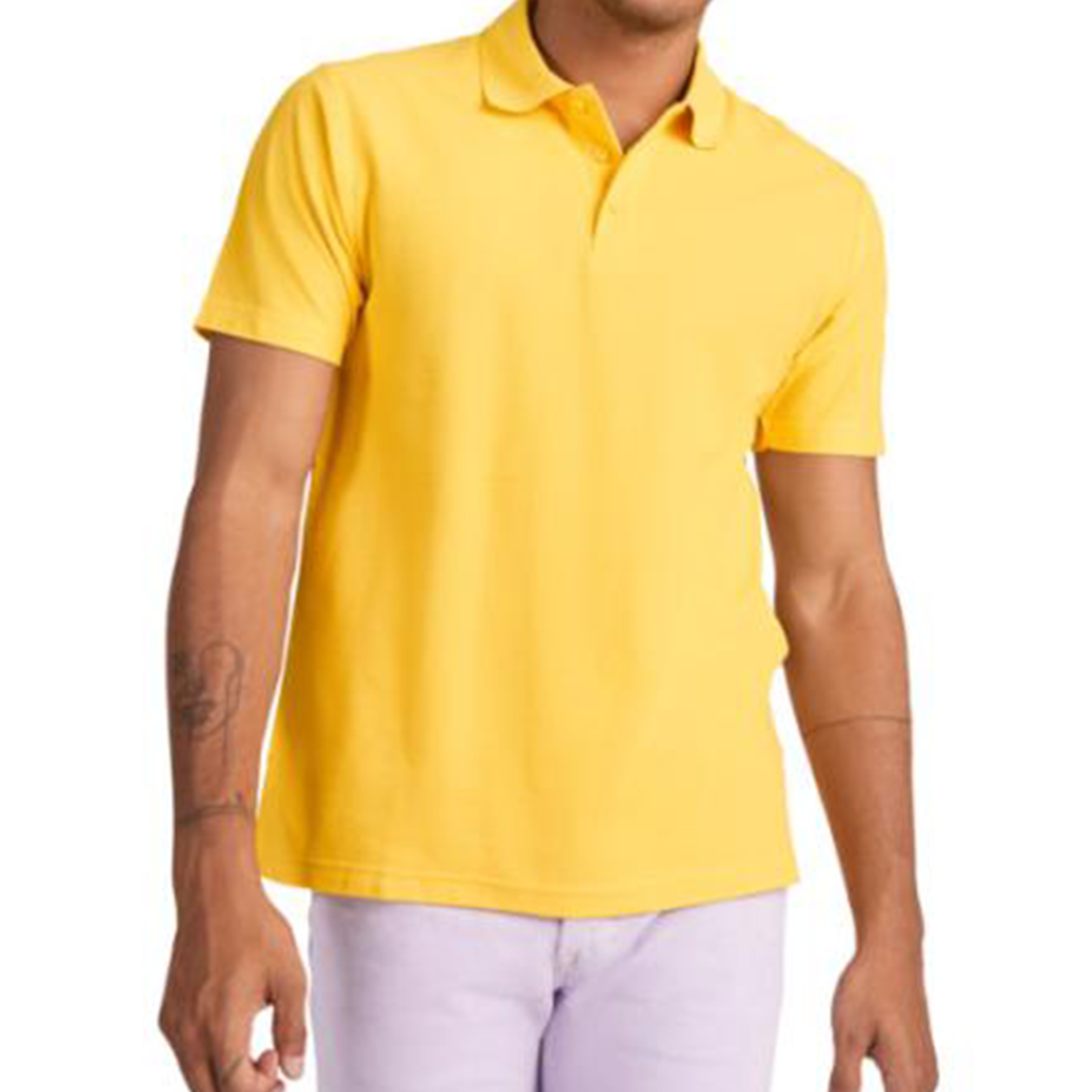 Ster Elegantie Polo - Asse