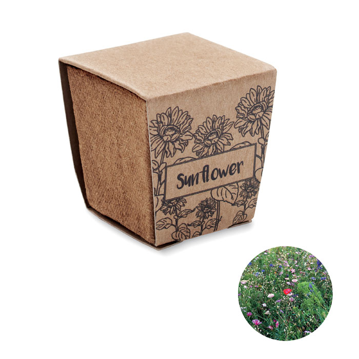 Zonnebloem Groei Kit - Aalst