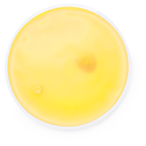 Warmte Herstart - Koekelare