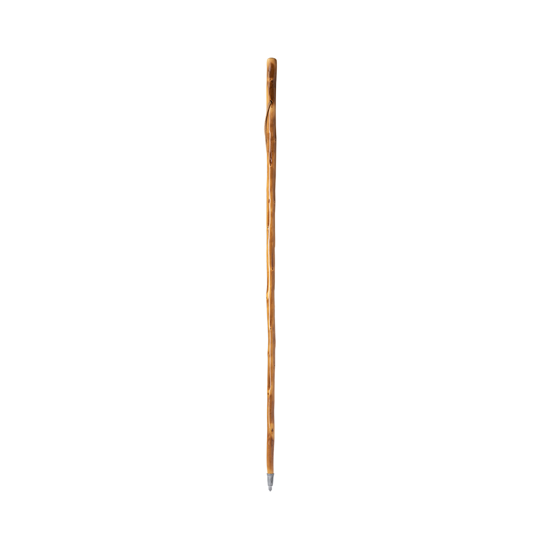 Wandelstok Hout - Lier