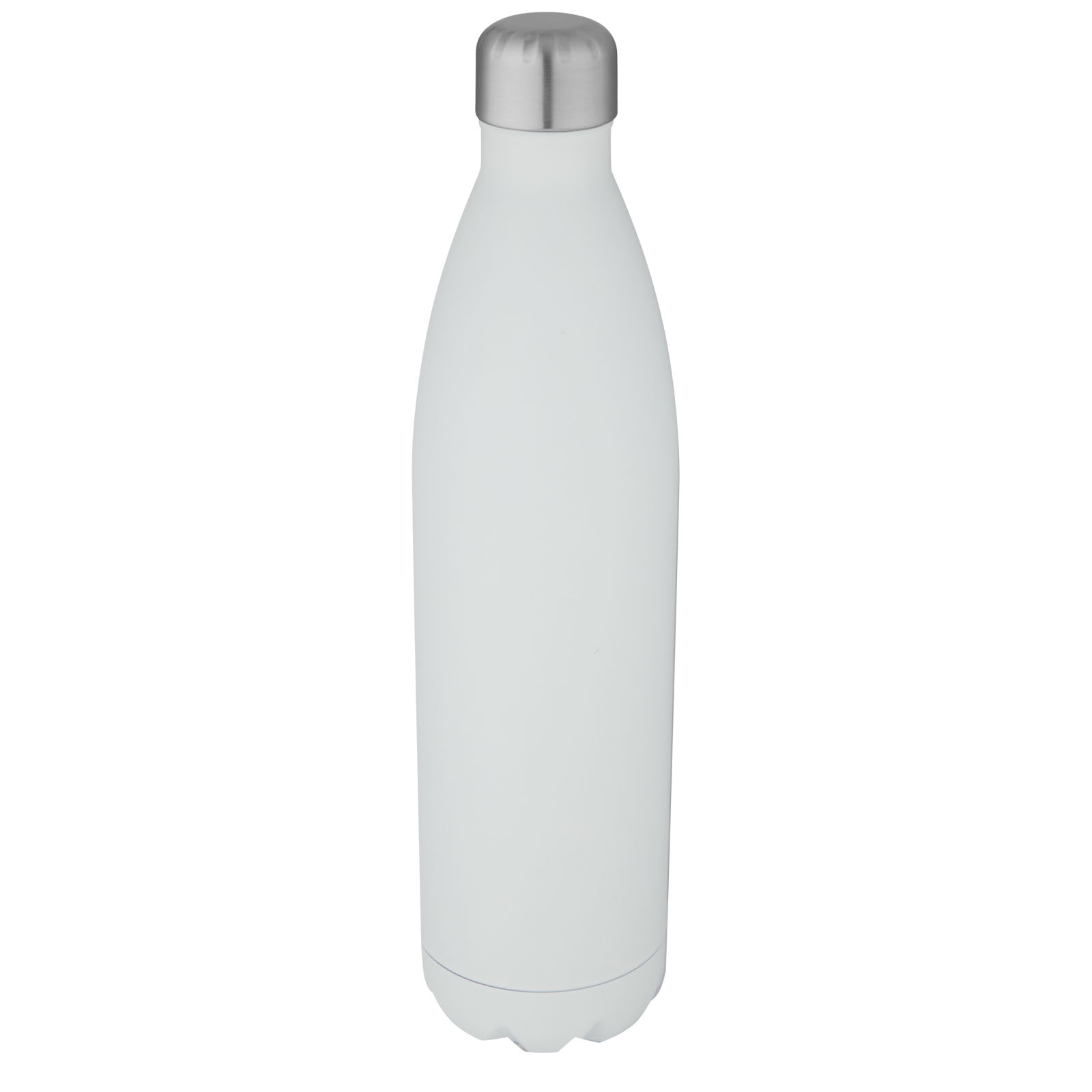 Grote Geïsoleerde Roestvrijstalen Fles - Zoutleeuw