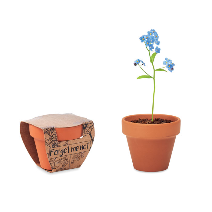 Kleine Terracottapot met Vergeet-mij-nietjes - Loon