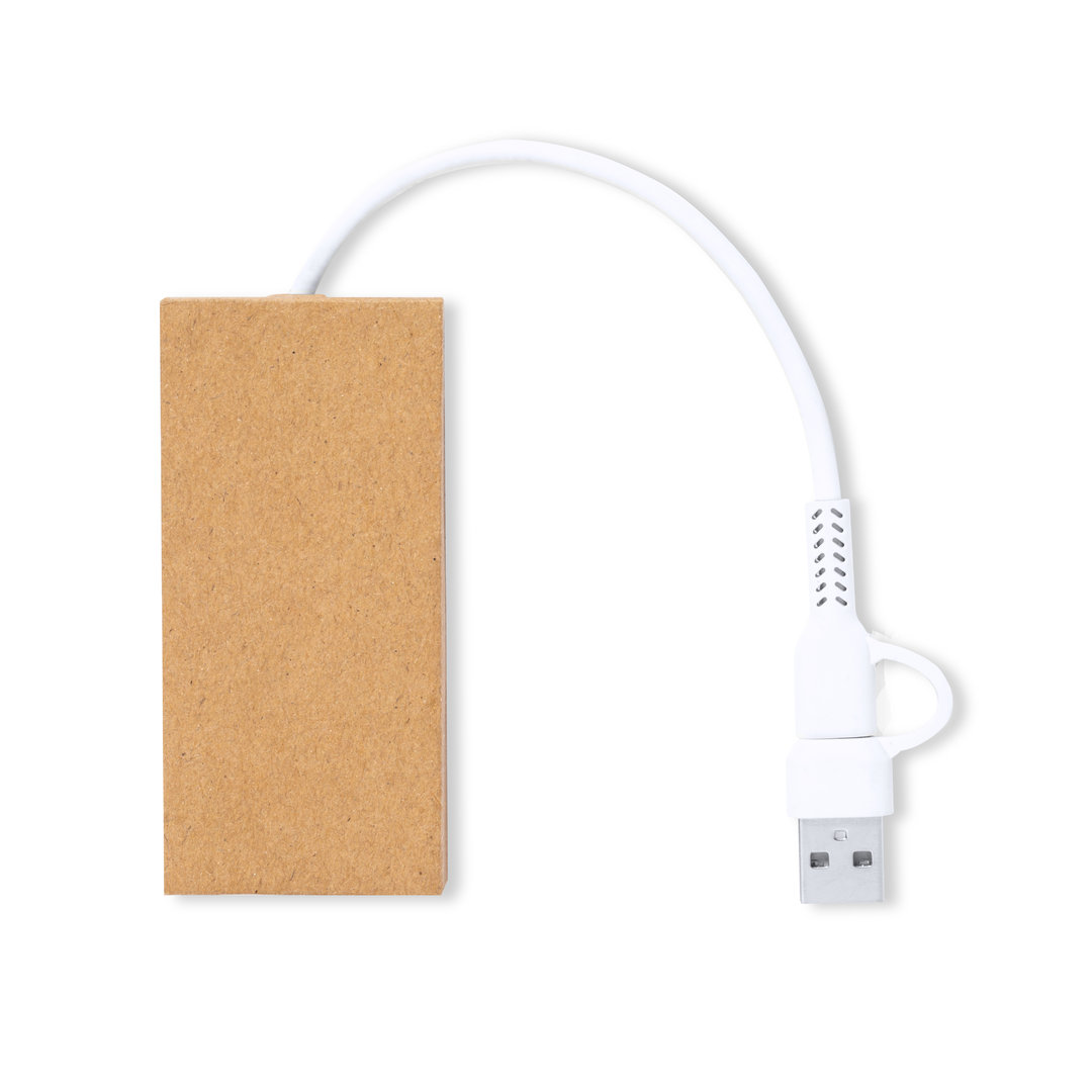 Duurzame USB Hub - Beernem