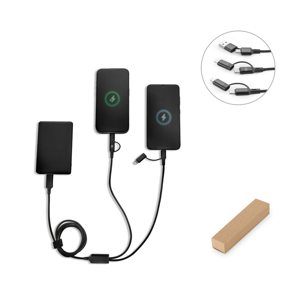 EcoPower 6-in-1 Kabel - Zwevegem