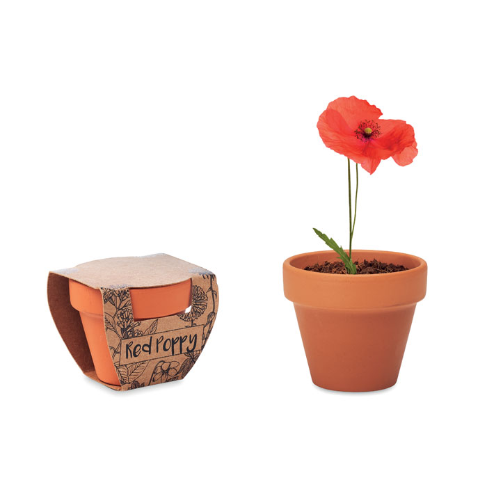 Kleine Terracotta Pot - Hamont-Achel