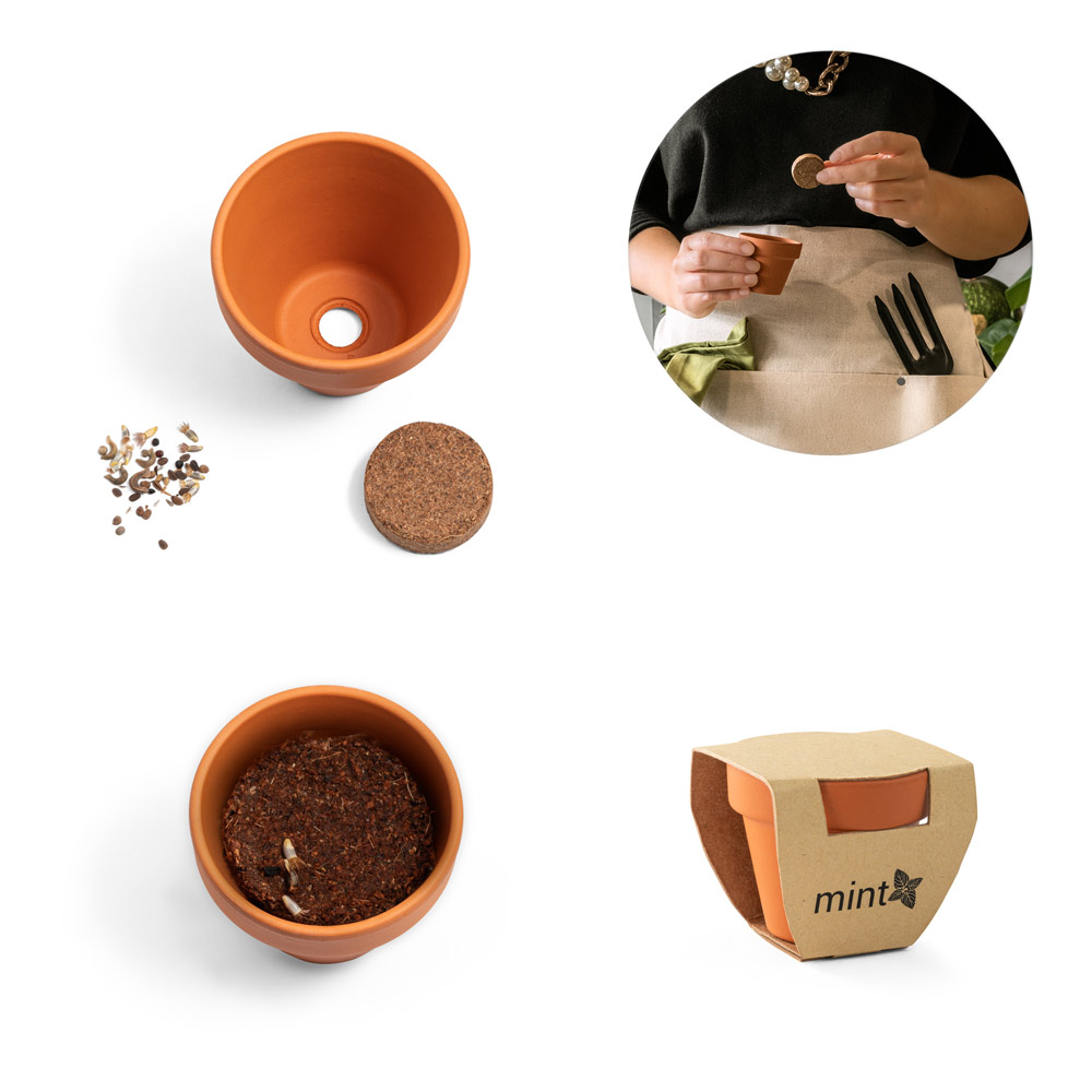 Klei Pot Munt - Sint-Pieters-Leeuw