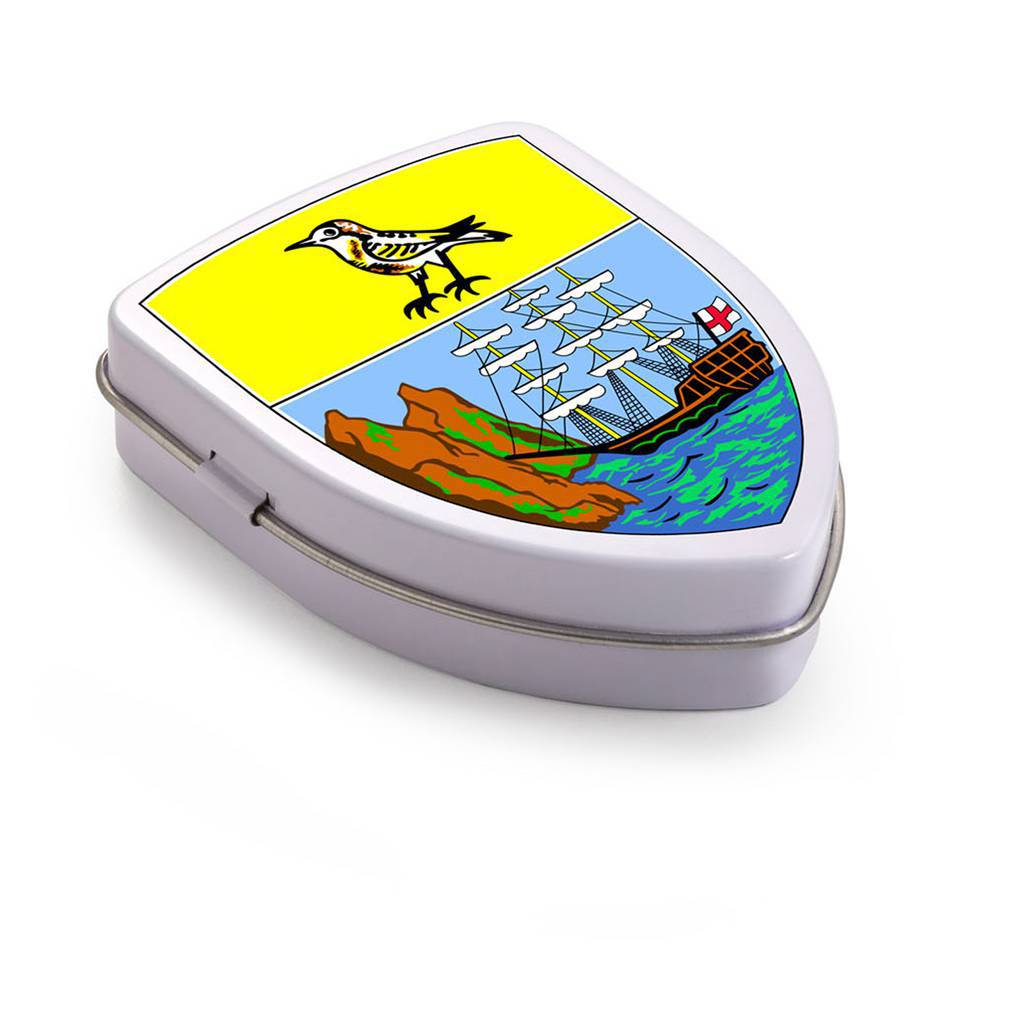 Beschermende Muntenblik - Open Deinze bedrukken met logo