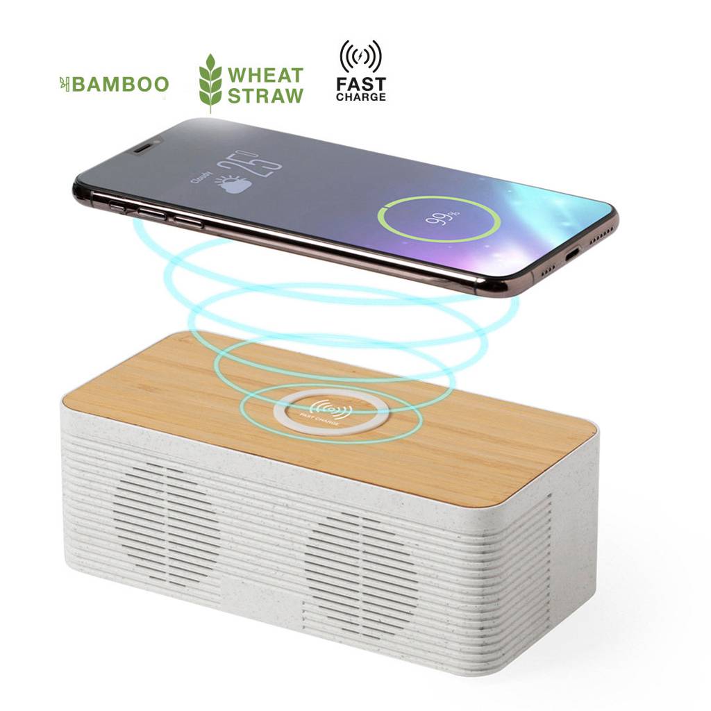 Eco Lader Speaker - Hasselt