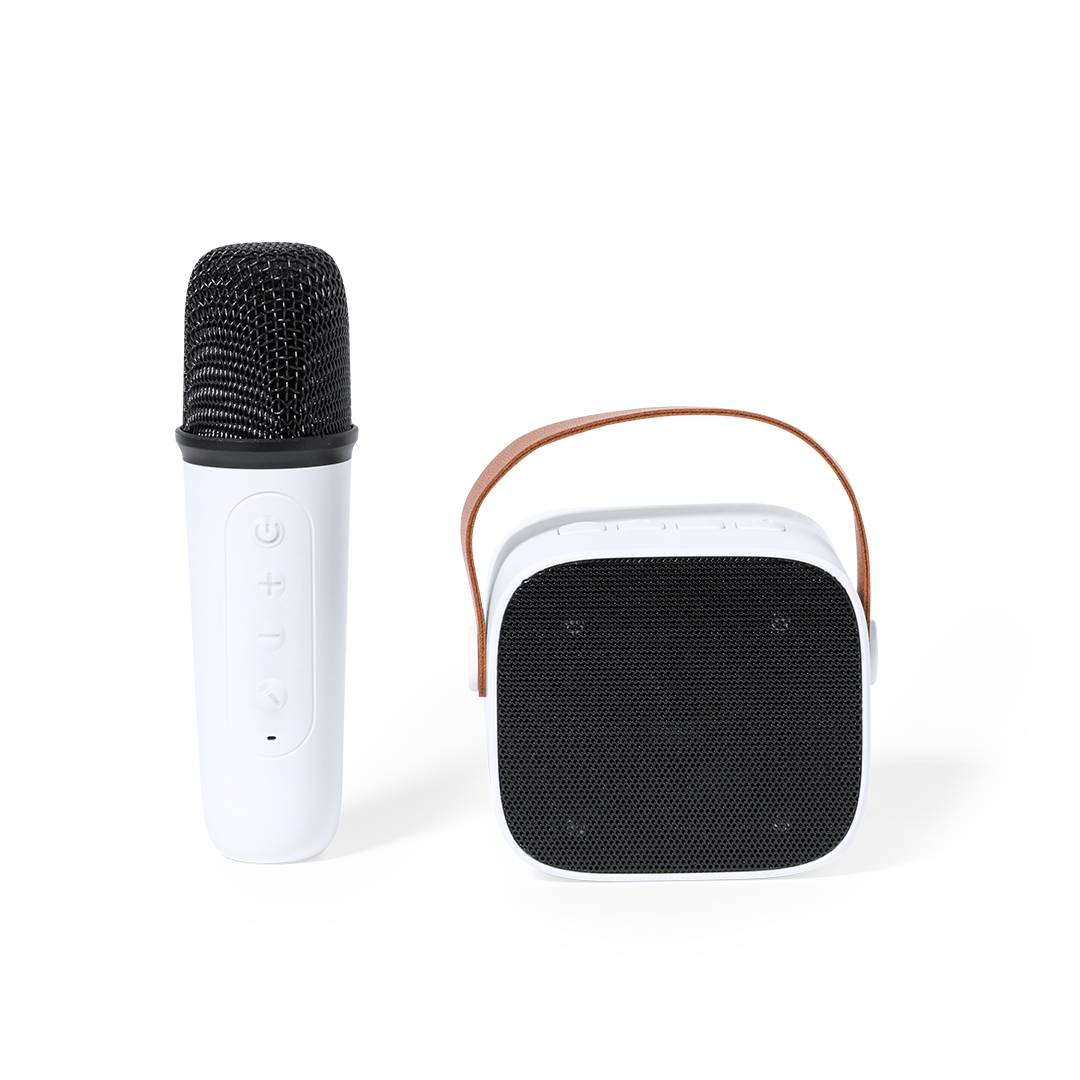 Draagbare Karaoke Set - Gingelom