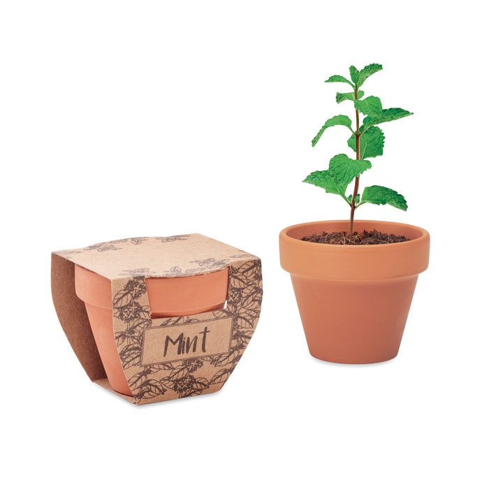 Terracotta Pot Met Muntzaadjes - Affligem