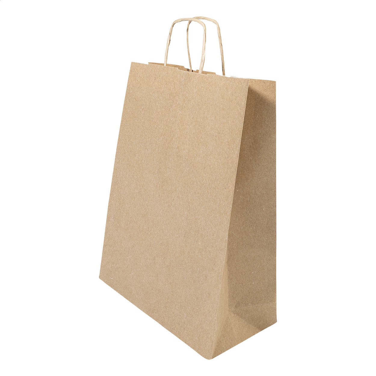 Papbag L papieren geschenktas, groot