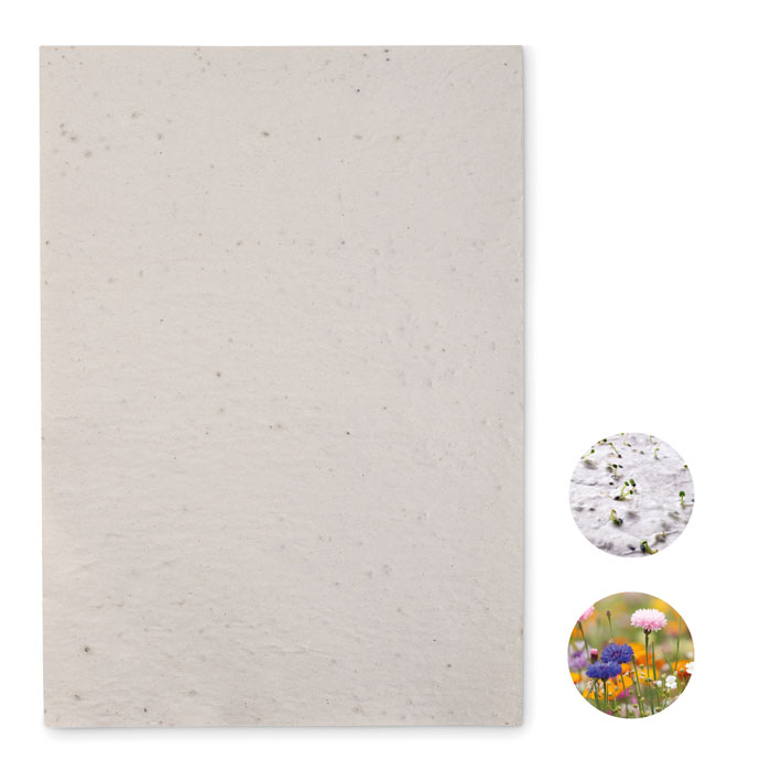 Wilde Bloemen Zaadpapier A4 - Oud-Turnhout