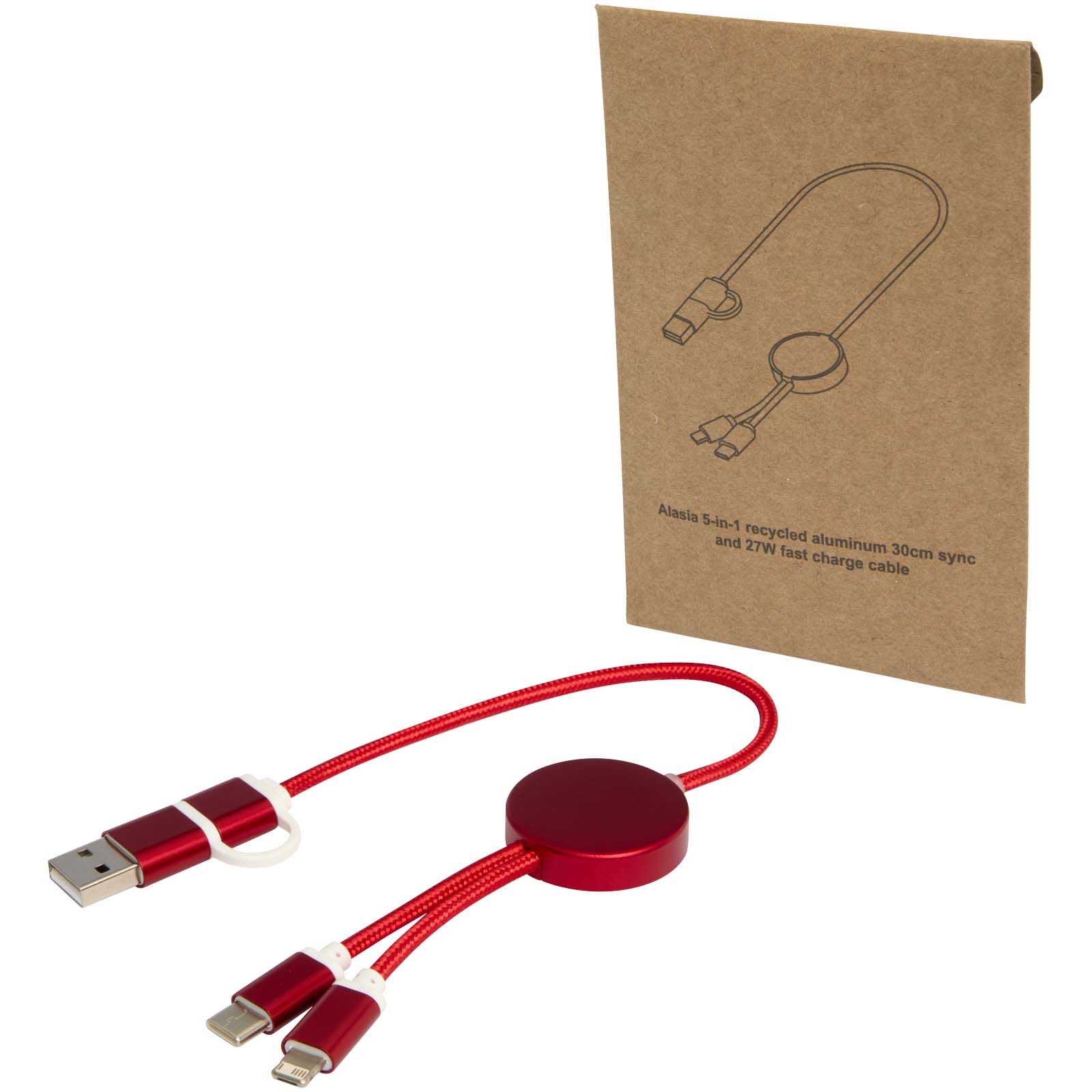Recycl2Connect 5-in-1 kabel - Essen