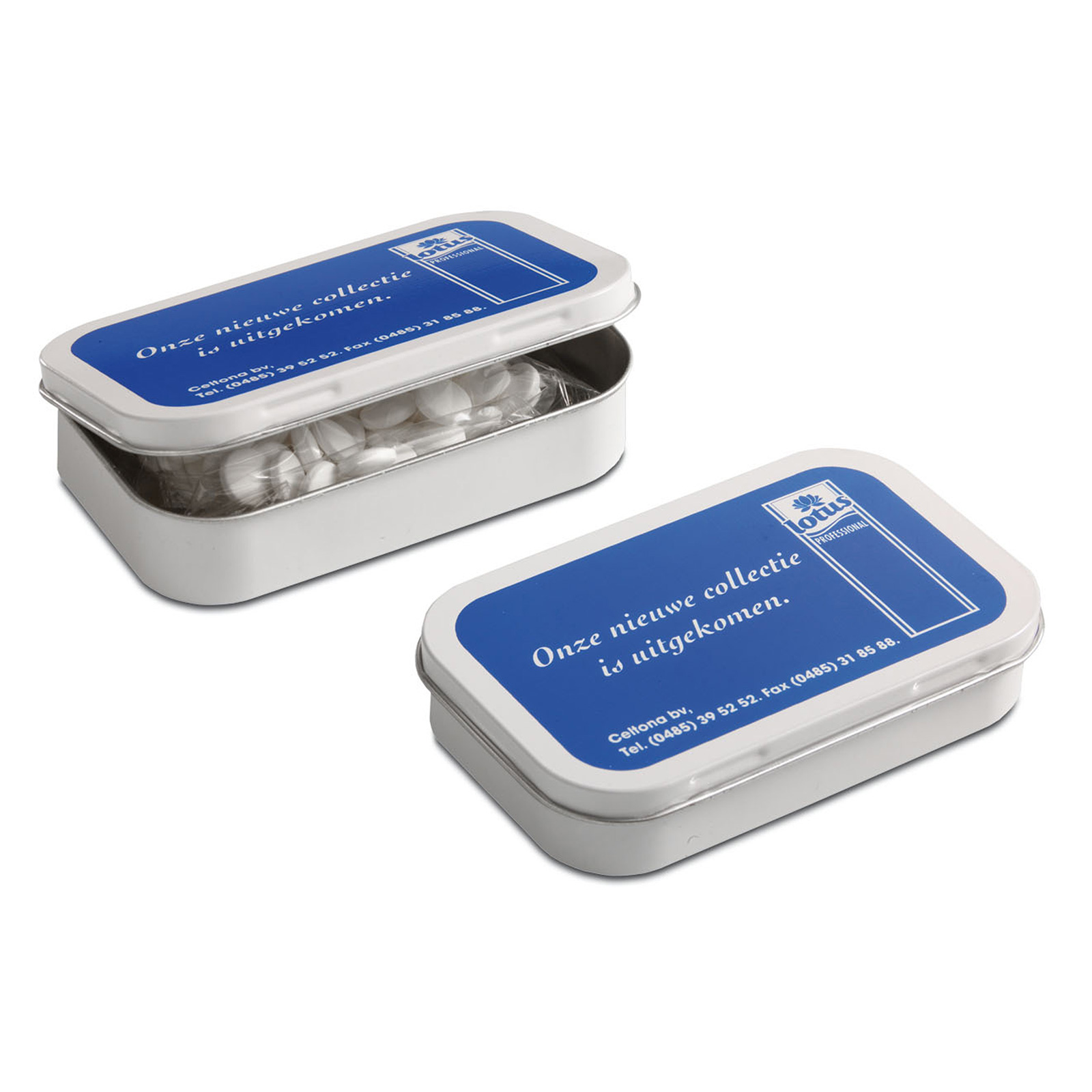 Grote Scharnierblik - Sint-Martens-Latem