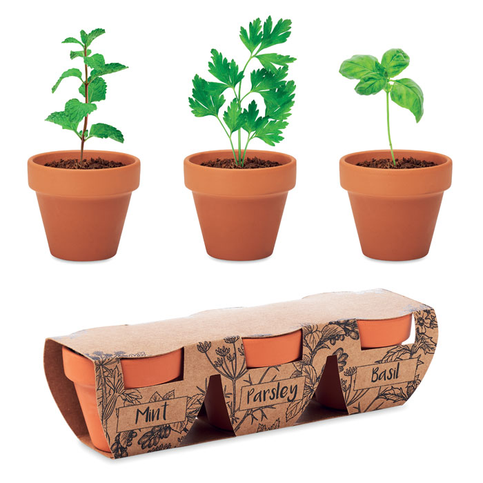 Kruidenpot Terracotta Set - Lummen