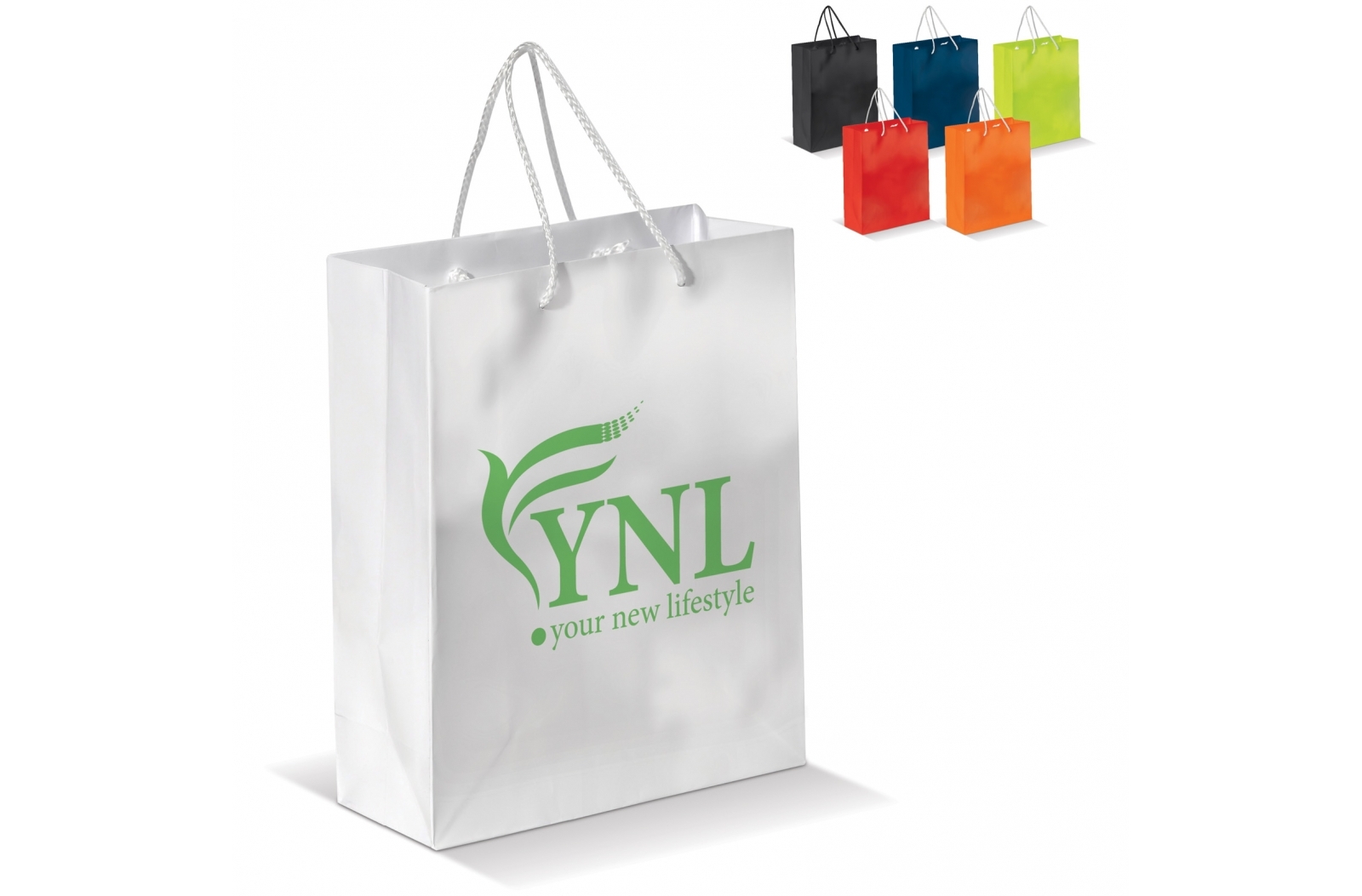 Middelgrote glanzende papieren tas - Hasselt