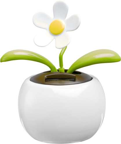 Zonnebloempot met Bloembeweging - Avelgem