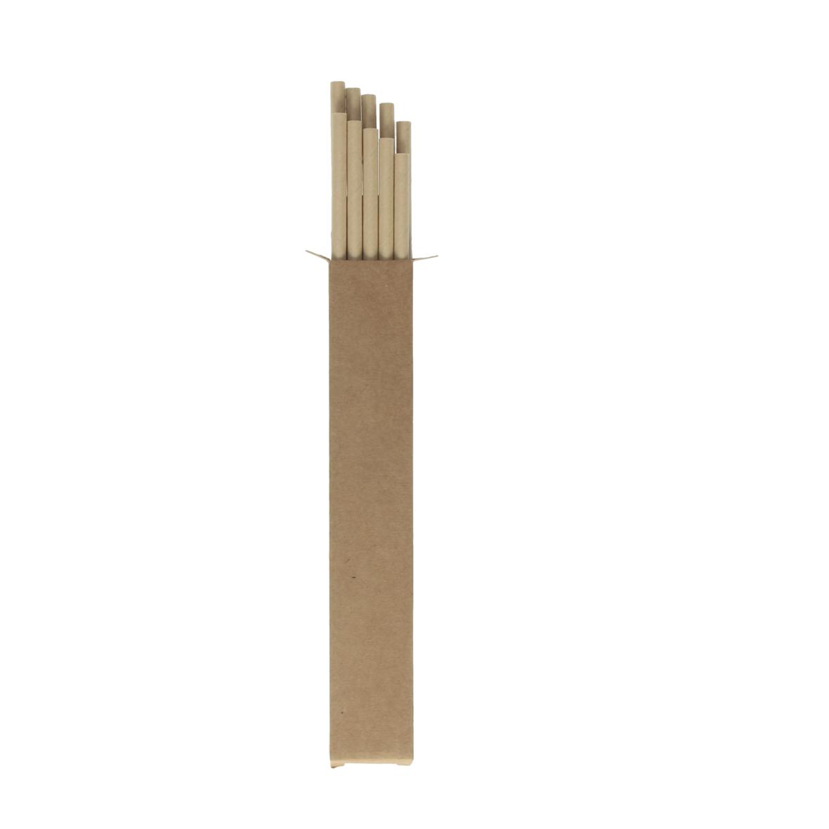 Papieren Rietjes Eco Pack - Niel