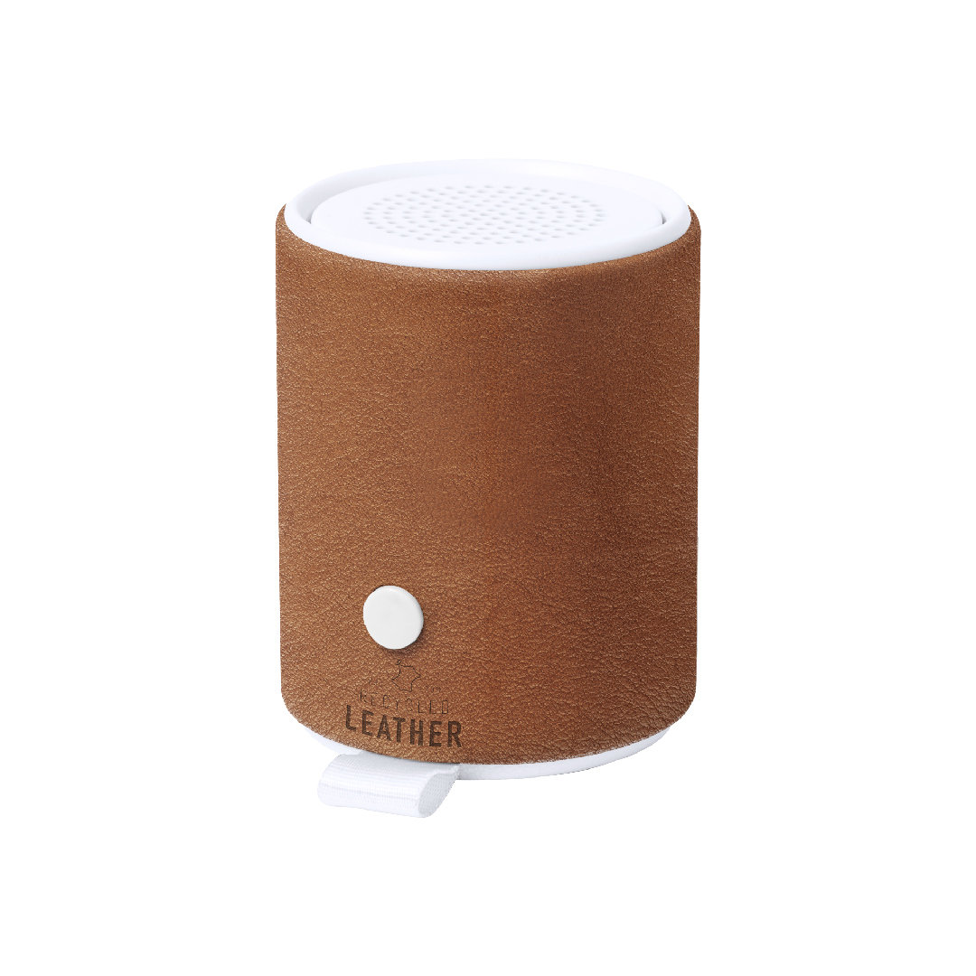Eco-vriendelijke Bluetooth-luidspreker - Borgloon
