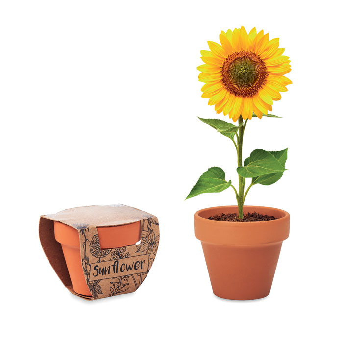 Terracotta Pot 'Zonnebloem' - Linter