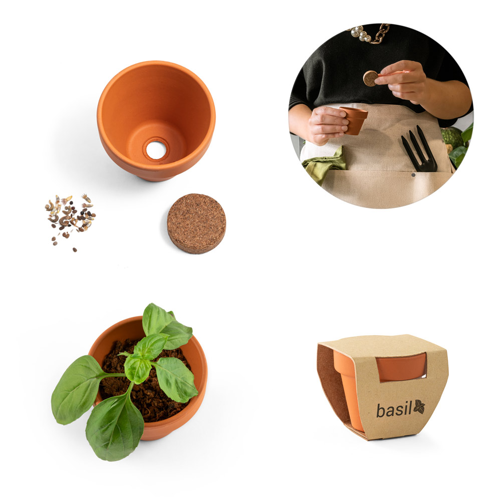 Kruidenpot met Basilicumzaden - Putte