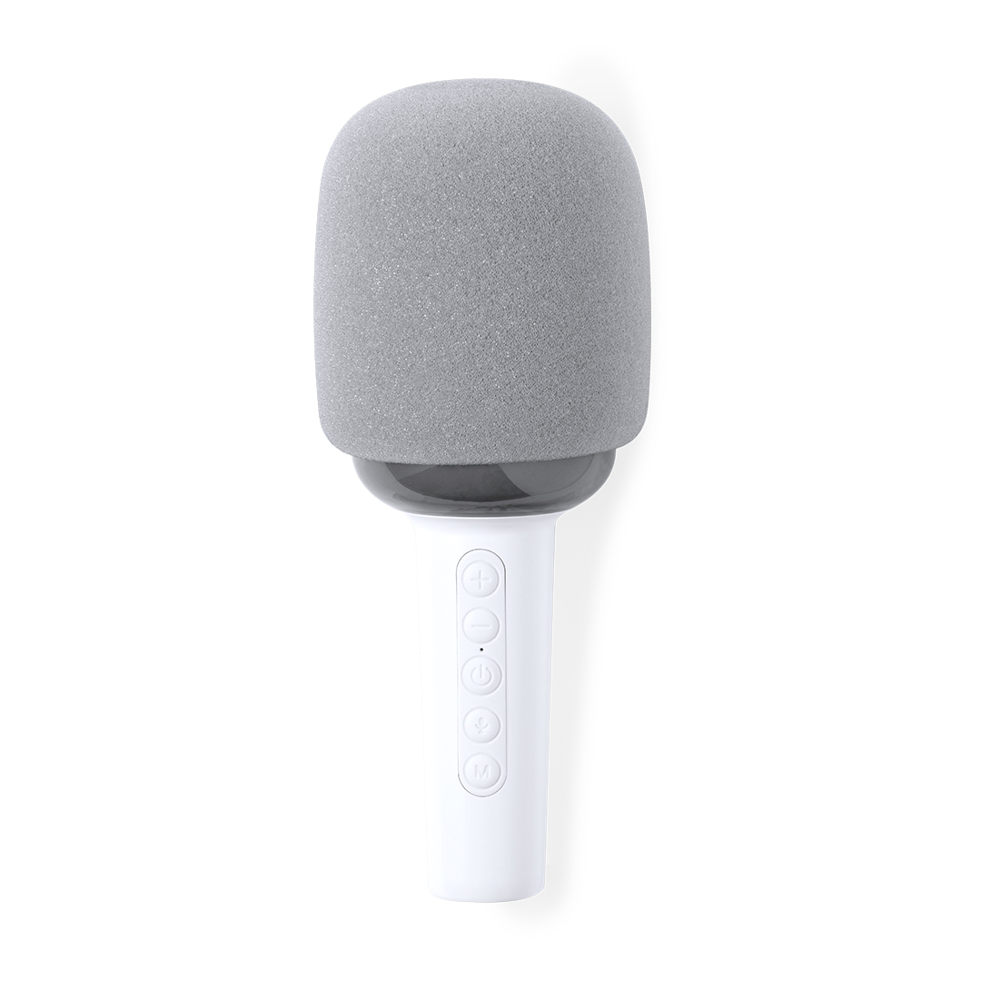 Draagbare Bluetooth Microfoonluidspreker - Kortenberg